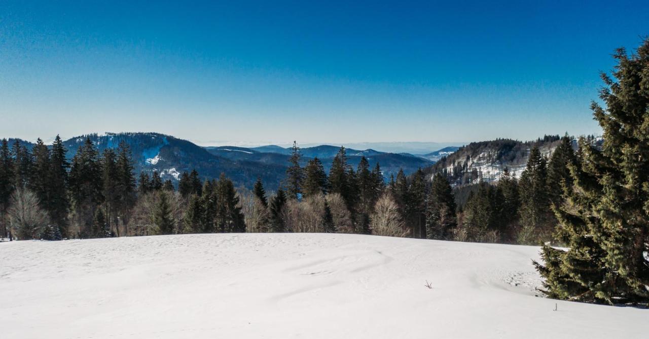 Berggasthof Zur Todtnauer Huette Feldberg  Bagian luar foto